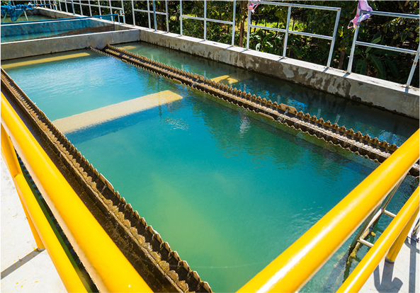 Projeto de consultoria