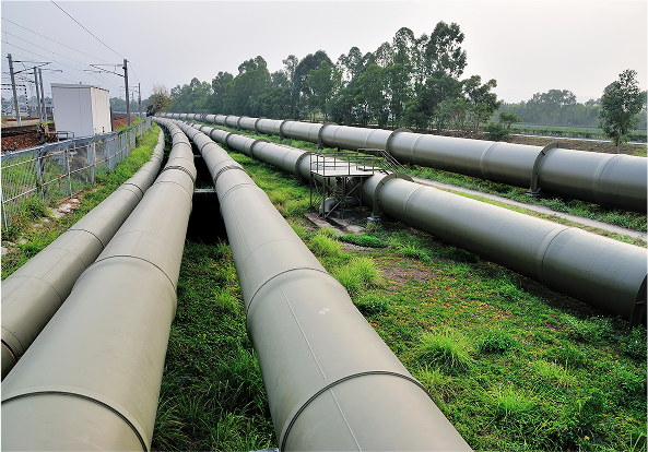 Projeto de consultoria