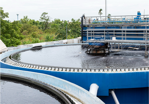 Projeto de consultoria