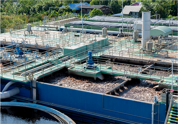 Projeto de consultoria