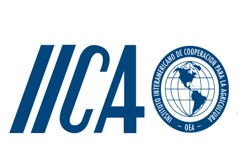 IICA
