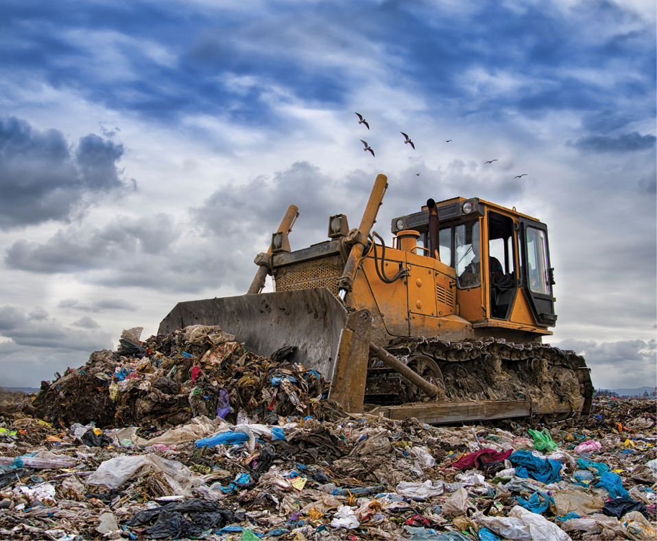 Projeto de consultoria